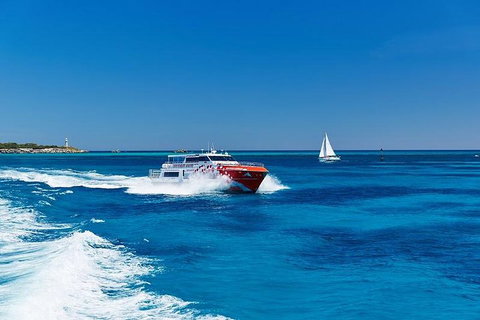 Rottnest Island Round-Trip Ferry From Perth Or Fremantle - Tourism Caloundra 4
