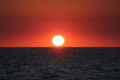Roebuck Bay Snubfin Dolphin Cruise - Tourism Caloundra 3