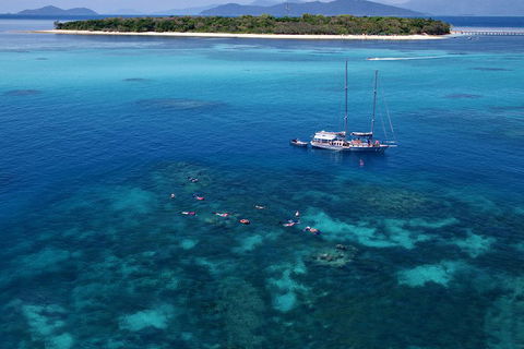 Ocean Free Green Island & Great Barrier Reef Snorkel Cruise, Cairns 25 Guests - Tourism Caloundra 2