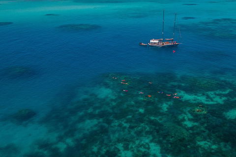 Ocean Free Green Island & Great Barrier Reef Snorkel Cruise, Cairns 25 Guests - Tourism Caloundra 5