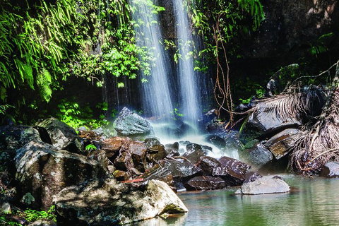 Full Day Small Group Luxury Tour To Tamborine Mountain - Tourism Caloundra 0