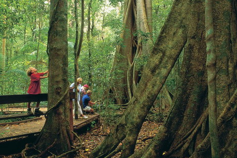 Full Day Small Group Luxury Tour To Tamborine Mountain - Tourism Caloundra 1