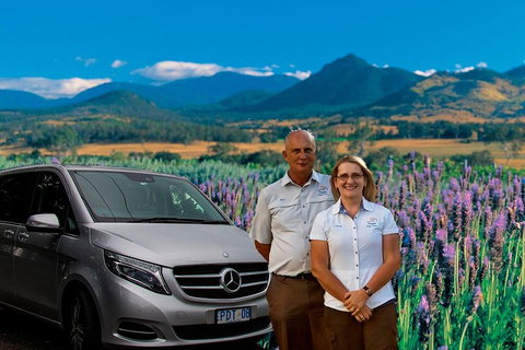 Full Day Small Group Luxury Tour To Tamborine Mountain - Tourism Caloundra 3