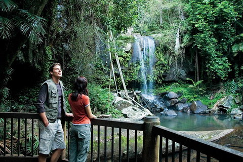 Full Day Small Group Luxury Tour To Tamborine Mountain - Tourism Caloundra 4