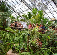 Australian Butterfly Sanctuary - Tourism Caloundra