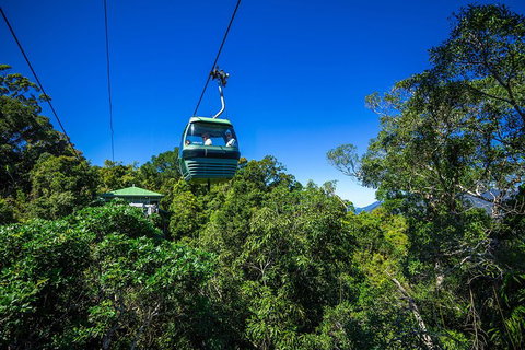 Classic Kuranda By Skyrail And Scenic Railway Including Rainforestation, Koala And Wildlife Park And Pamagirri Aboriginal Experi - Tourism Caloundra 0