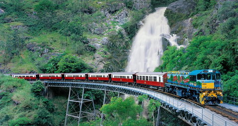 Classic Kuranda By Skyrail And Scenic Railway Including Rainforestation, Koala And Wildlife Park And Pamagirri Aboriginal Experi - Tourism Caloundra 1