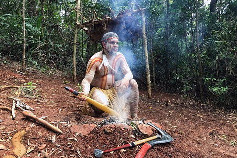Kuranda Highlights Including Rainforestation Aboriginal Culture And Wildlife - Tourism Caloundra 0