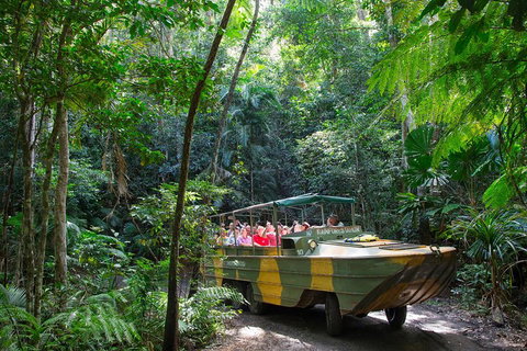 Kuranda Highlights Including Rainforestation Aboriginal Culture And Wildlife - Tourism Caloundra 2
