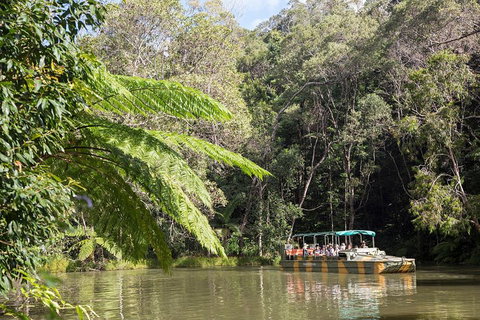 Best Of Kuranda Including Skyrail, Kuranda Scenic Railway And Rainforestation - Tourism Caloundra 5