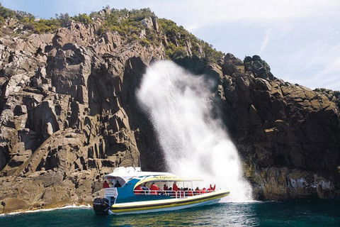 Full-Day Bruny Island Cruises Day Tour From Hobart - Tourism Caloundra 4