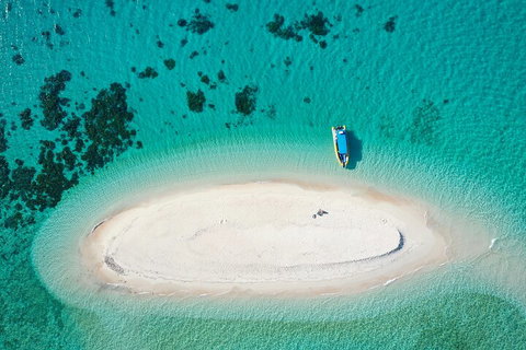 Ocean Safari Great Barrier Reef Experience In Cape Tribulation - Tourism Caloundra 3