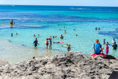 Rottnest Island Roundtrip Fast Ferry From Hillarys Boat Harbour - Tourism Caloundra 1