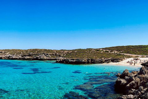 Rottnest Island Roundtrip Fast Ferry From Hillarys Boat Harbour - Tourism Caloundra 4