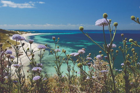 Rottnest Island Full-Day Trip With Guided Island Tour From Perth - Tourism Caloundra 2