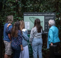 Sunshine Coast Hinterland and Noosa Day Trip from Brisbane Including Eumundi Markets and Ginger Factory - Tourism Caloundra