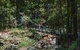 Springbrook AndTamborine Rainforest Tour Incl Natural Bridge And Glow Worm Cave - thumb 3