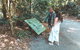 Springbrook AndTamborine Rainforest Tour Incl Natural Bridge And Glow Worm Cave - thumb 5