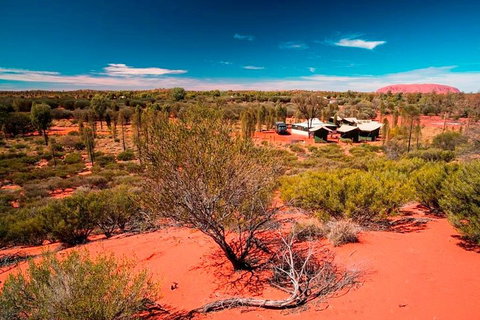 Overnight Uluru (Ayers Rock) Small-Group Camping Tour - Tourism Caloundra 2