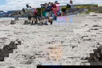 Book Viator Accommodation Vacations Tourism Caloundra Tourism Caloundra