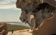 Kangaroo Island In A Day Tour From Adelaide - thumb 5
