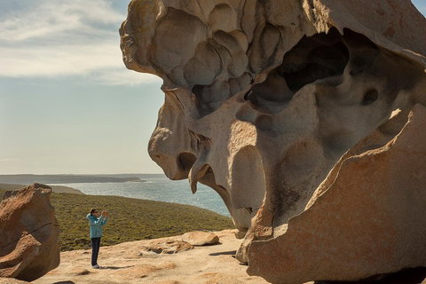 Kangaroo Island In A Day Tour From Adelaide - Tourism Caloundra 5