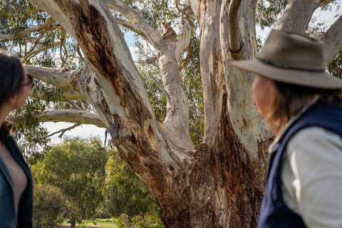 NEW TOUR - Kangaroo Island Road To Recovery Tour (1 Day/1 Night) - Tourism Caloundra 0