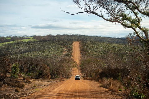 NEW TOUR - Kangaroo Island Road To Recovery Tour (1 Day/1 Night) - Tourism Caloundra 2