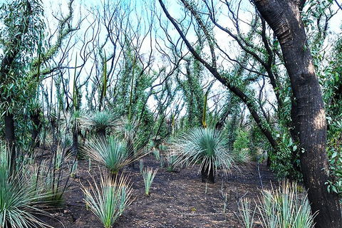 NEW TOUR - Kangaroo Island Road To Recovery Tour (1 Day/1 Night) - Tourism Caloundra 3