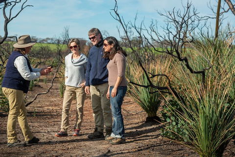 NEW TOUR - Kangaroo Island Road To Recovery Tour (1 Day/1 Night) - Tourism Caloundra 4