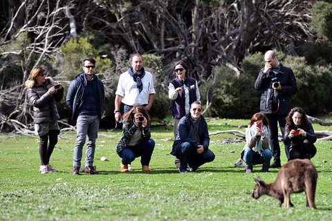 Small-Group Kangaroo Island 4WD Tour From Adelaide - Tourism Caloundra 2