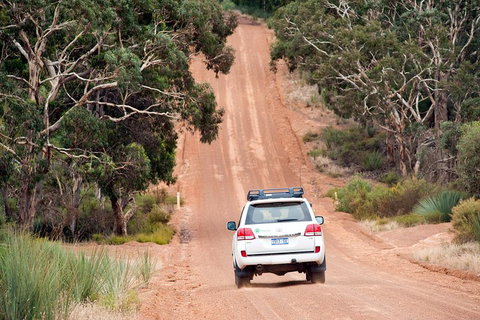 Small-Group Kangaroo Island 4WD Tour From Adelaide - Tourism Caloundra 3