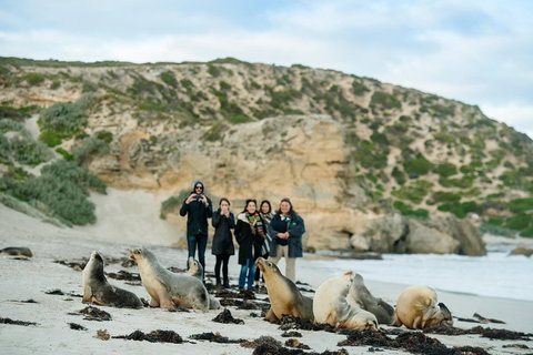 Small-Group Kangaroo Island 4WD Tour From Adelaide - Tourism Caloundra 4