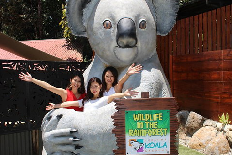 Kuranda Koala Gardens And Birdworld Admission Tickets - Tourism Caloundra 3