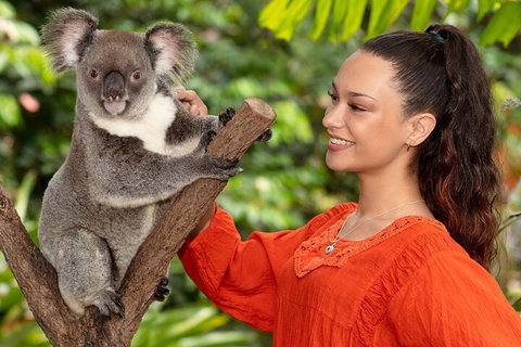Kuranda Wildlife Experience Three Attraction Pass - Tourism Caloundra 4