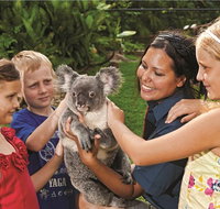 Kuranda Koala Gardens General Entry Ticket - Tourism Caloundra