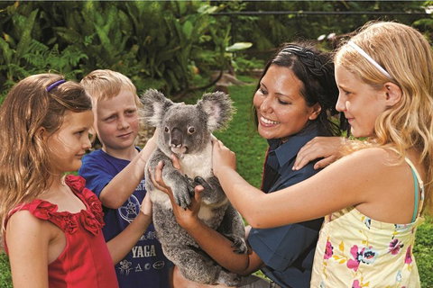 Kuranda Koala Gardens General Entry Ticket - Tourism Caloundra 0