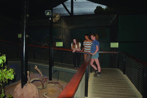 Kuranda Koala Gardens General Entry Ticket - Tourism Caloundra 2