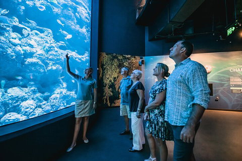 Cairns Aquarium By Twilight With 3-Course Dinner - Tourism Caloundra 1