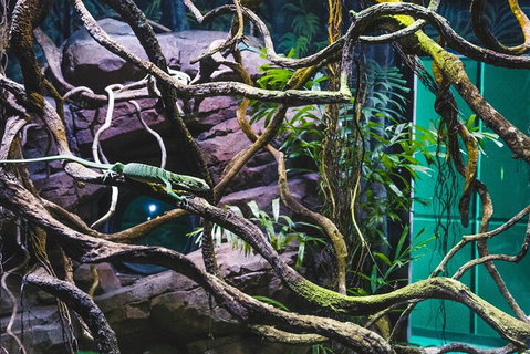 Cairns Aquarium By Twilight With 3-Course Dinner - Tourism Caloundra 2