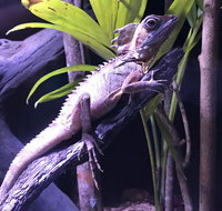 Cairns Aquarium Admission Ticket - Tourism Caloundra