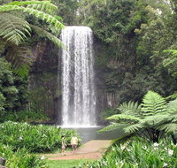 Private Daintree and Cape Tribulation Tour from Port Douglas - Tourism Caloundra