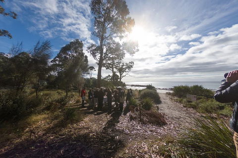 Bruny Island Day Tour, Includes Lunch And Exclusive Lighthouse Tour - Tourism Caloundra 5