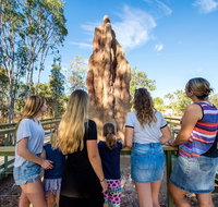 Litchfield National Park Waterfalls and Wildlife Tour from Darwin - Tourism Caloundra