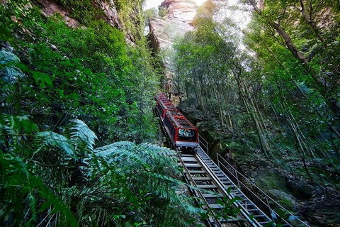 Blue Mountains Private Tour With Kangaroos & Koala Encounter - Tourism Caloundra 1