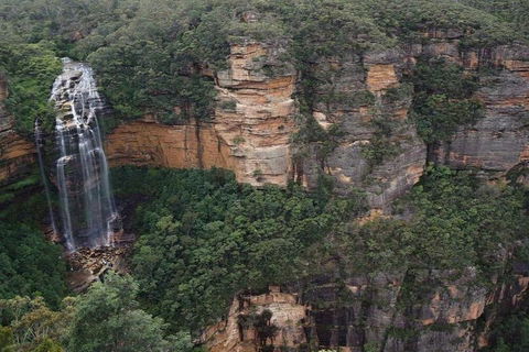 Blue Mountains Private Tour With Kangaroos & Koala Encounter - Tourism Caloundra 2