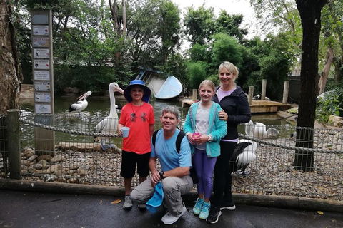 Blue Mountains Private Tour With Kangaroos & Koala Encounter - Tourism Caloundra 4