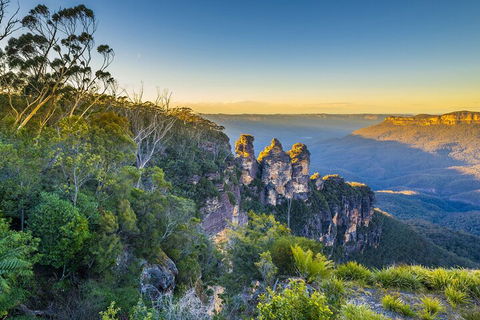 Blue Mountains Private Tour With Kangaroos & Koala Encounter - Tourism Caloundra 5