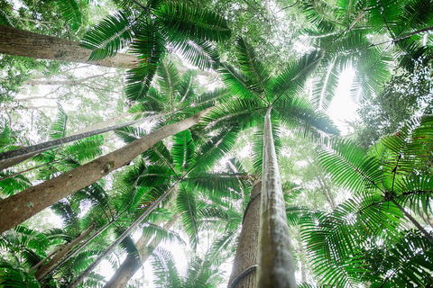 Fraser Explorer K'gari 2-Day Tour - Tourism Caloundra 2