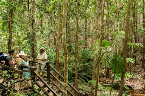 Fraser Explorer K'gari 2-Day Tour - Tourism Caloundra 5
